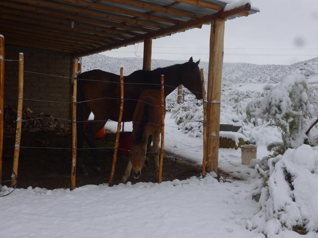 Valle Del Cielo Uspallata Zewnętrze zdjęcie